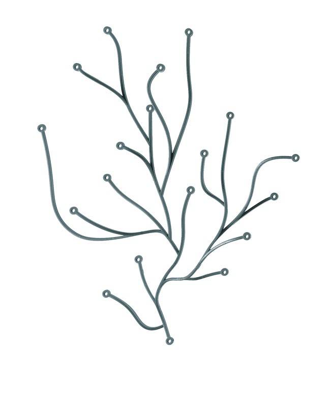 ALGUES DECORATIVES