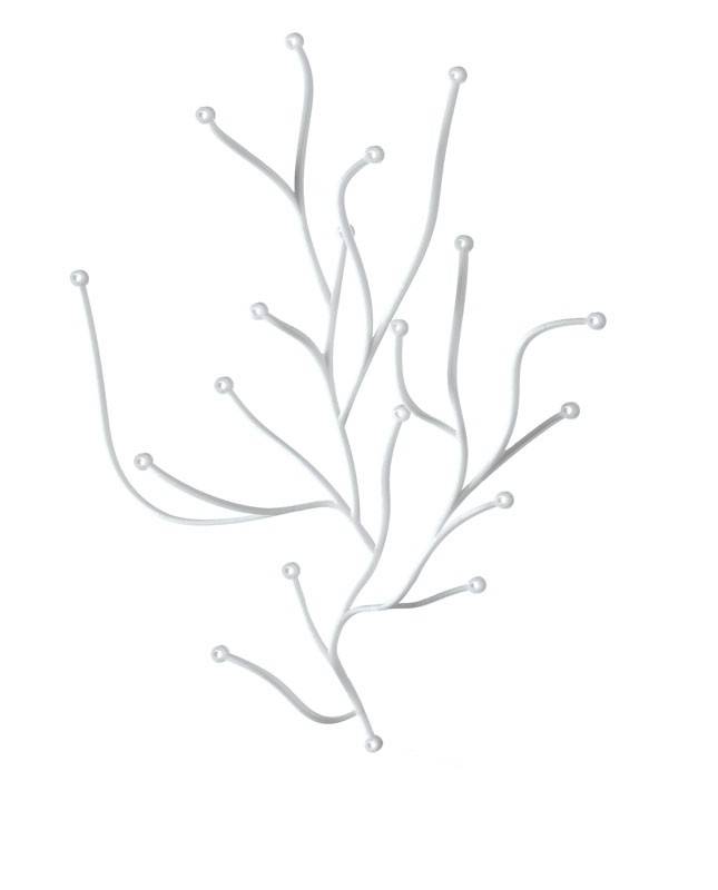 ALGUES DECORATIVES