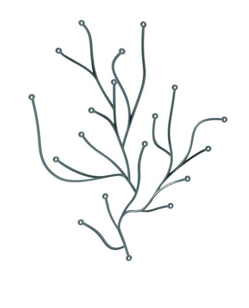 ALGUES DECORATIVES