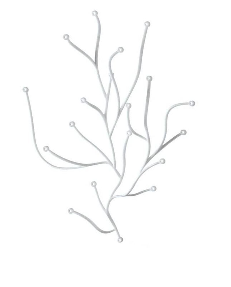 ALGUES DECORATIVES