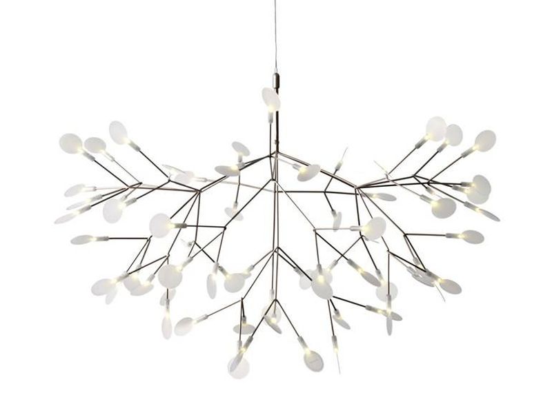  HERACLEUM