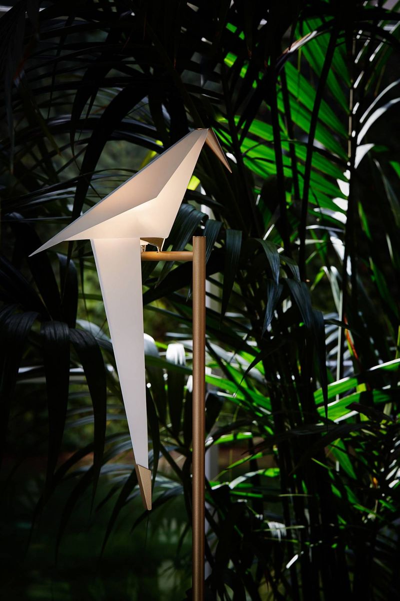 PERCH LIGHT